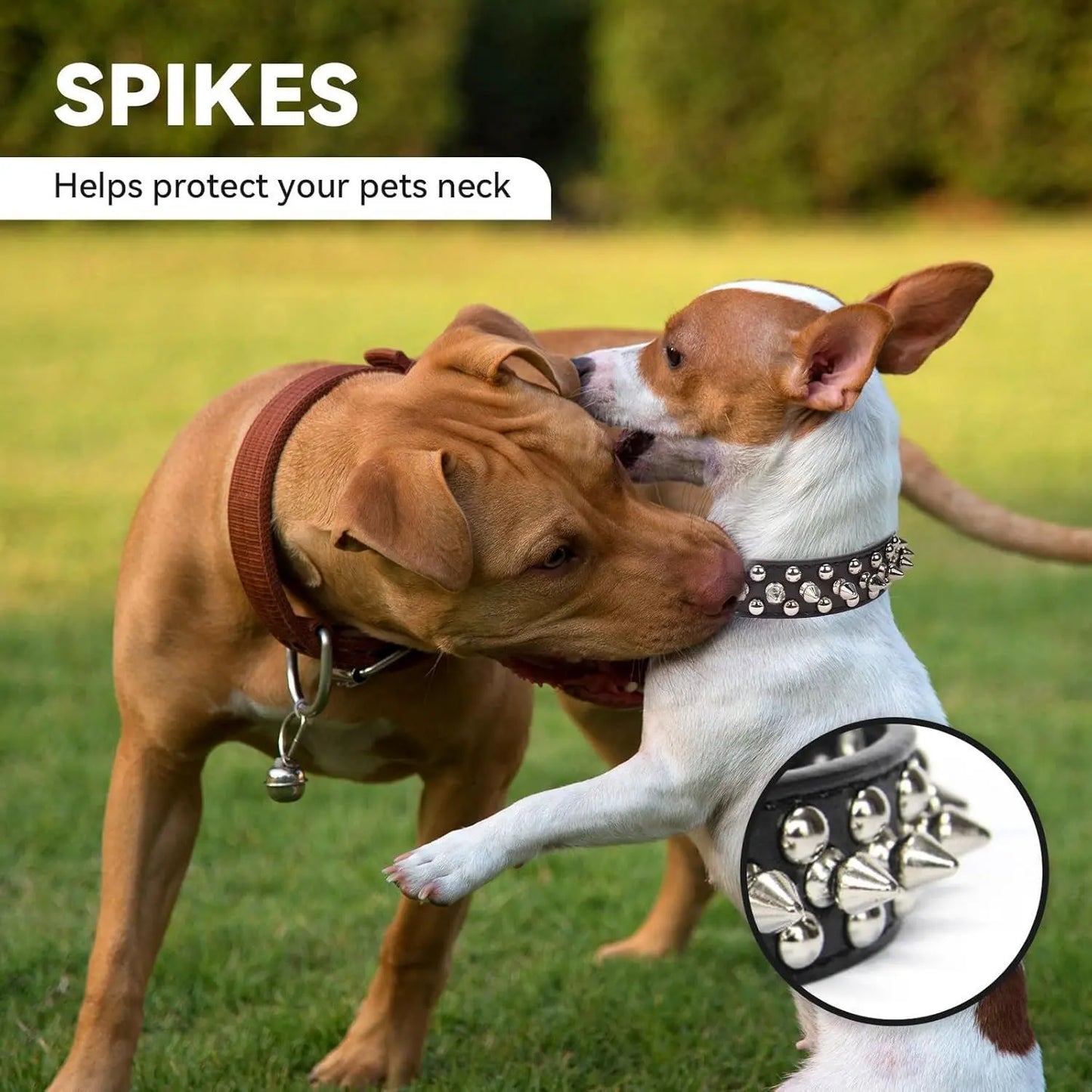 Dog Collar | Spiked Anti-Bite Punk Collar for Medium & Large Dogs | Heavy-Duty & Durable Pet Neck Ring | Cool Design for Doberman, Pitbull, German Shepherd | Fashion Statement for Dogs & Cats